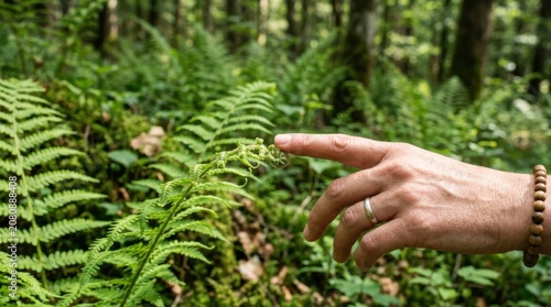 Person hand touching green fern leaves in a wild forest during a sunny day exploring nature outdoors in the woods