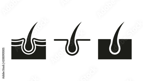 Fotografía Hair follicle icon set