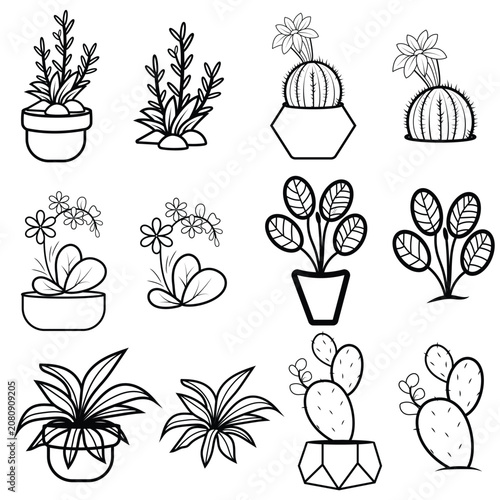 Black flower pattern silhouettes icons set,