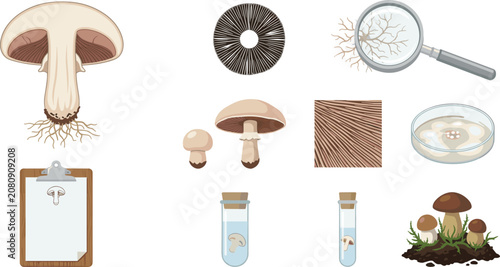 Fotografía Mycology Laboratory Collection Featuring Mushroom Anatomy Spore Print Petri Dish