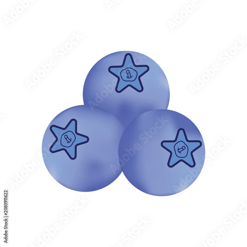 Canvas Print Three fresh blueberries with a starshaped calyx