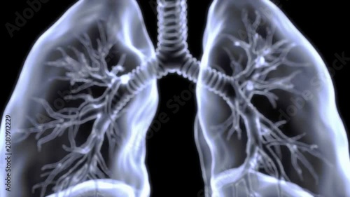 Stylized 3D Rendering of Human Lungs With Frosted Glass Texture Diffusing Light, Showcasing Intricate Bronchial Structures in Medical and Educational Contexts