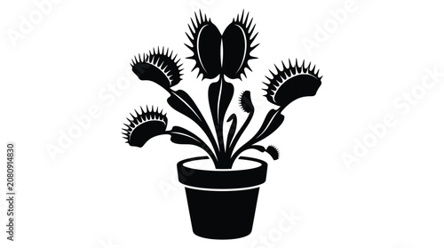 Venus flytrap in pot black silhouette against white background