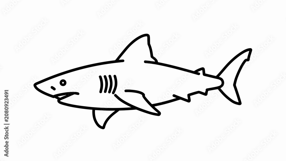 Fototapeta premium Simple black and white line drawing of a shark