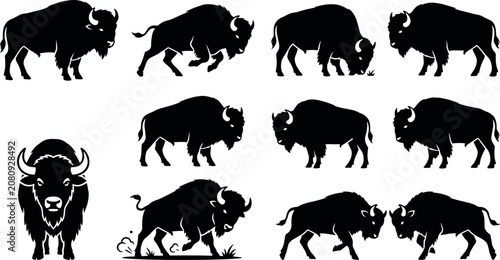 Tableau sur toile American bison buffalo black silhouette vector set featuring wild bull animals running grazing charging head portrait logo and side view stencils isolated on white background