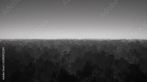 3D Render Flyover of Misty Forest Silhouette Landscape