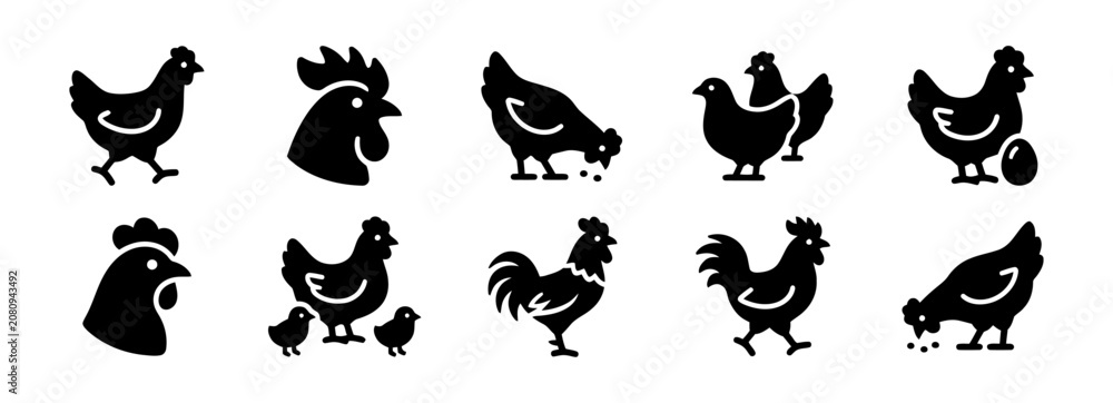 Fototapeta premium Black chicken and rooster icons with chicks and egg on white background.