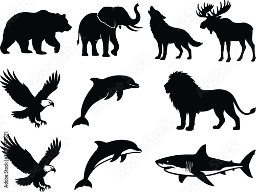 Photography Wild animals vector silhouette collection featuring a bear elephant wolf moose e