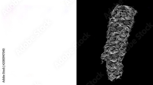 Foto Microscopic biological specimen on black background, detailed cellular structure