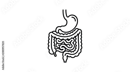 Bild auf Leinwand Human digestive system illustration black line drawing silhouette