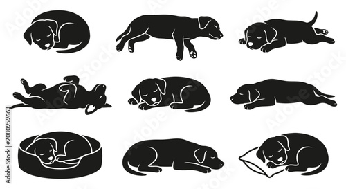 Foto Sleeping puppy silhouettes in various curled and extended poses silhouette