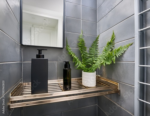 sleek gray tile bathroom wall niche with built in shelf holding small fern plant and luxury glass soap dispensers for contemporary bathroom renovation and modern interior styling