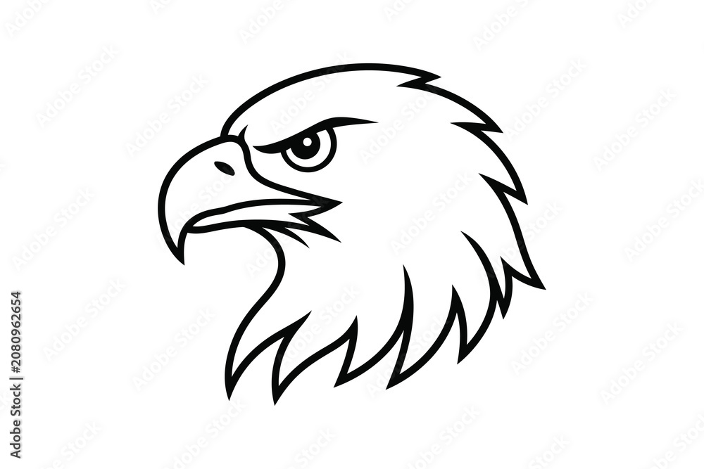 Fototapeta premium Bold eagle head illustration with sharp beak