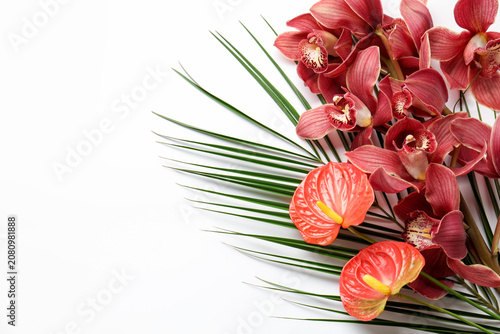 Tableau sur toile Beautiful cymbidium flowers and tropical leaves on white background, closeup