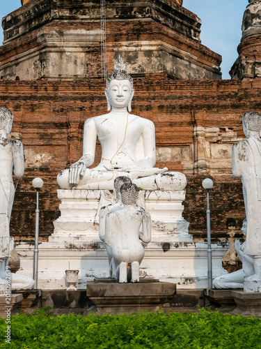 White Buddha Statues at Ancient Temple Ruins in Ayutthaya, Thailand