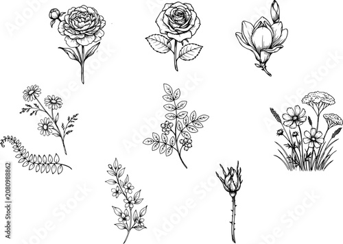 Elegant Hand Drawn Botanical Flower Line Art Vector Icon Collection