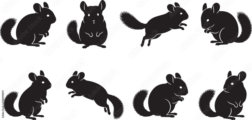 Fototapeta premium Squirrel icons, black vector silhouettes, animal graphics, wildlife illustrations, rodent symbols isolated on Transparent Background