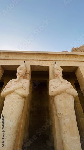 Temple of Hatshepsut, birds are seating on a head of the statues