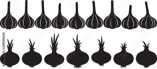 Photos Garlic and onion silhouettes in two rows against a white background illustrating
