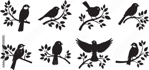 Bild auf Leinwand Silhouettes of small birds perched on delicate branches with leaves in a clean g