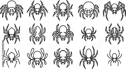 Photos Spider line art collection halloween arachnid insect vector graphics