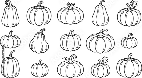 Cuadro en lienzo Black and white line drawing illustrations of various pumpkins and gourds