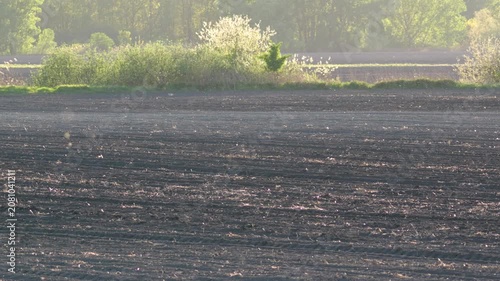 Heat haze over freshly plowed farmland at sunset