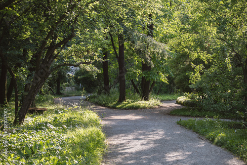 Beautiful pedestrian trails in the Zagreb city botanical park, Croatia, during summer sunset