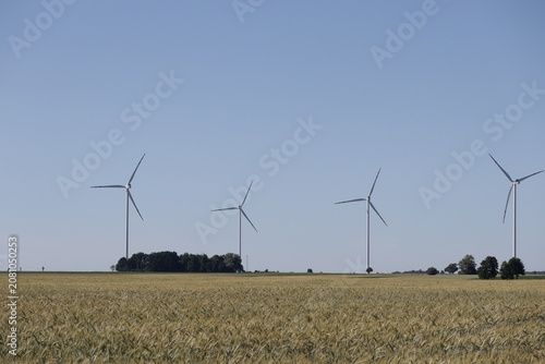 Bild auf Leinwand Wind Turbines Over Rural Grain Field Landscape
