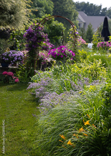 Curving lawn bordered by flowering perennials, purple clematis, Summer Crush hydrangea, fountain grass, and lush foliage leading to an arbor in a colorful backyard landscape.