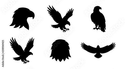 Konstfotografi Eagle silhouette collection with 6 vector icons, majestic bald eagle head and fl