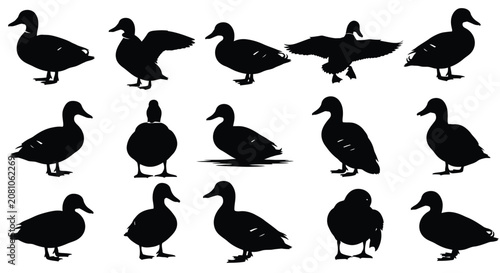 Tableau sur toile Duck Silhouettes Collection On White Background