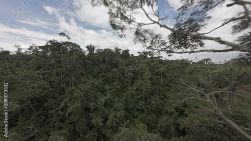 Cinematic FPV drone footage flying through dense tropical rainforest trees and revealing the lush Ecuadorian Amazon jungle. Ideal for travel, nature, adventure, conservation and documentary projects.