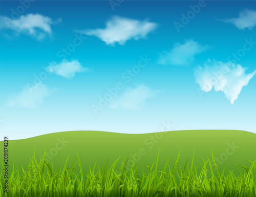 Realistic Landscape Green Meadow Distant Trees Bright Blue Sky Vector Landscapt Background