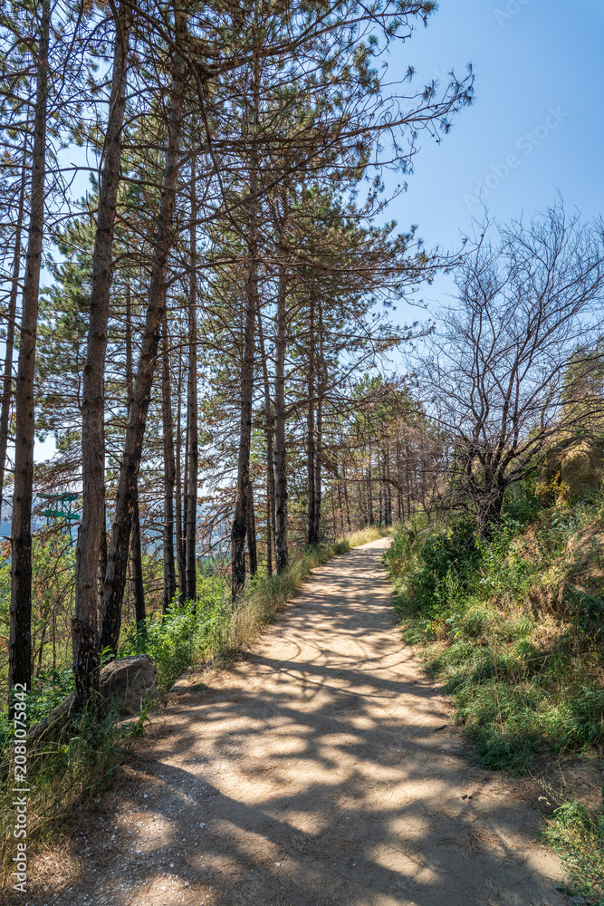 Obraz premium Curve road to the mountains. Scenic dirt road with mountain range.