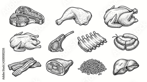 Vintage Butcher Meat Icon Set Vector Illustration with Hand Drawn Premium Protein Collection in Classic Engraving Style