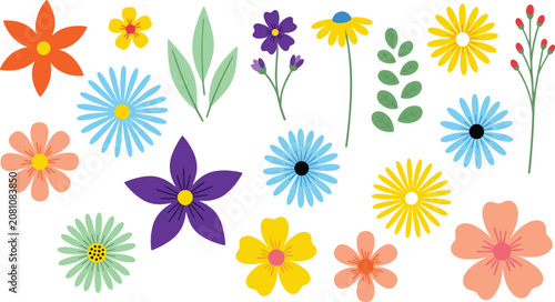 Hand Drawn Colorful Floral Vector Collection Featuring Decorative Flowers, Botanical Blossoms, Garden Plants and Artistic Nature Illustrations
