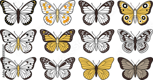 Stylized Butterfly Flat Vector Collection – Colorful Butterfly Species, Decorative Insects, Nature, Garden and Botanical Wildlife Illustrations
