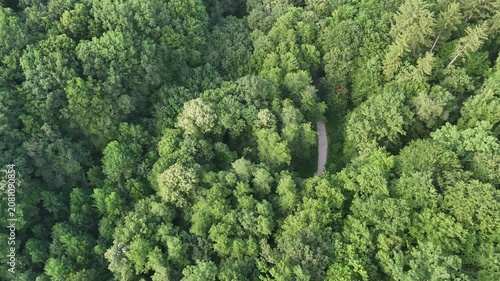 Aerial view of a winding forest path surrounded by lush green trees