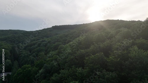 Aerial view of a winding forest path surrounded by lush green trees