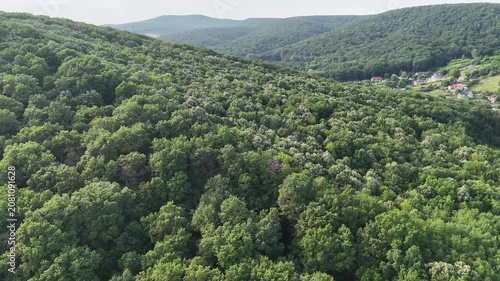 Aerial view of a winding forest path surrounded by lush green trees