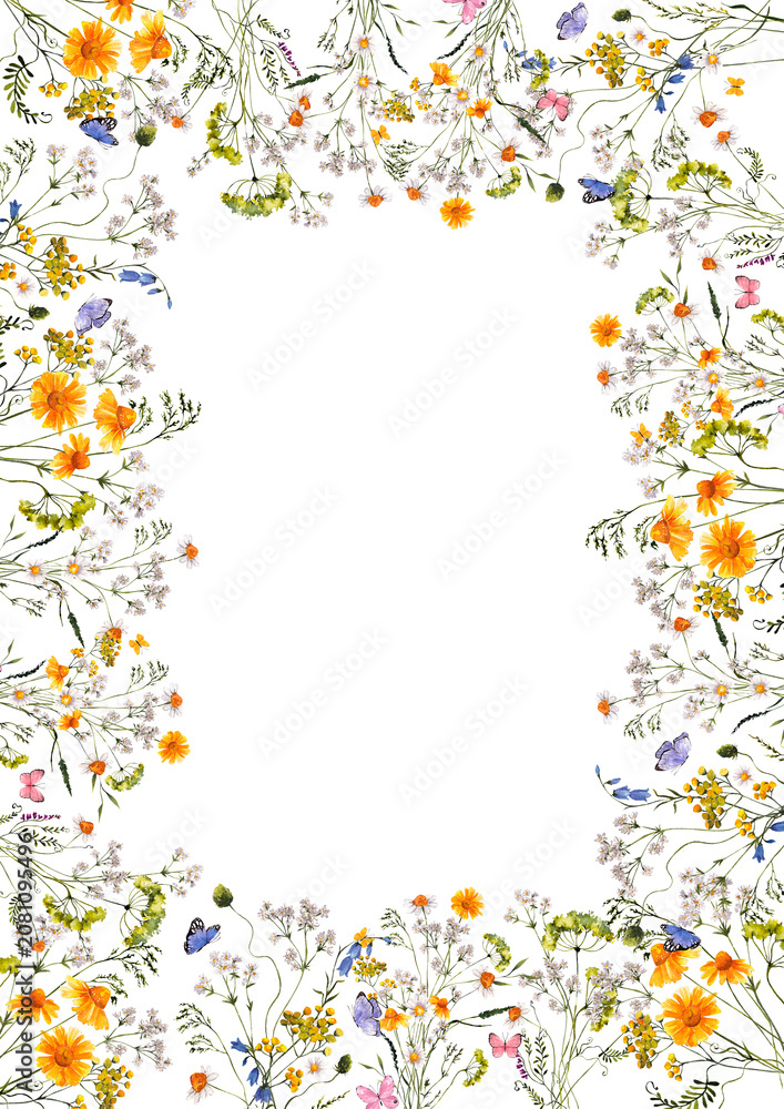 Fototapeta premium Floral frame with watercolor hand draw meadow flowers, wildflowers, grass, herbs and leaves, isolated on white background