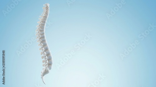3D rendered medically accurate illustration of the human spine and vertebrae.