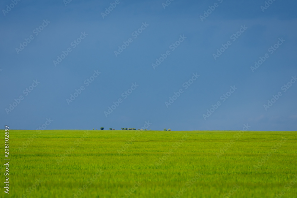 Fototapeta premium Storm clouds gathering over a wide green field, creating a dramatic natural landscape