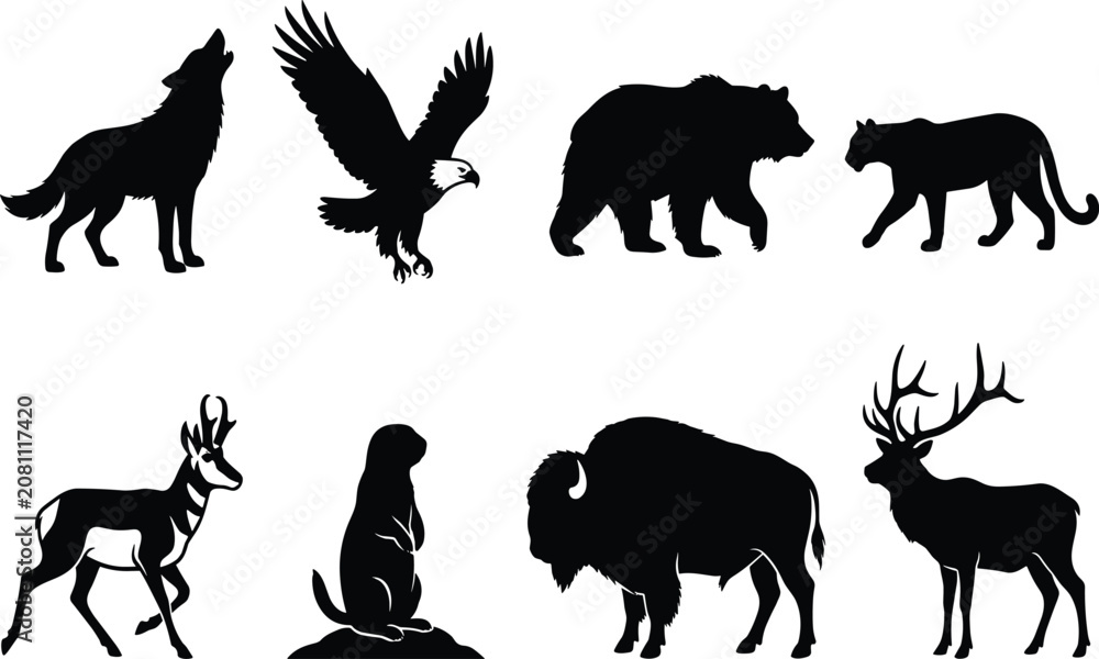 Obraz premium North American wildlife animals black silhouettes set isolated on white background vector illustration