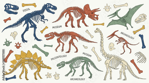 Photos Hand-Drawn Collection of Vibrant Colorful Dinosaur Skeleton and Artistic Prehist