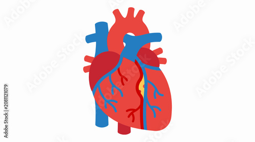 Bild auf Leinwand Coronary Artery Flat Icon