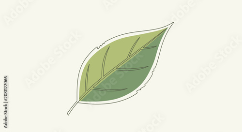 Stylized green leaf illustration with delicate outline. Minimalist botanical element for nature, eco, organic, and freshness concepts.