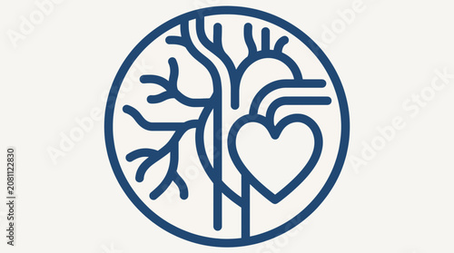 Foto Veins And Arteries Line Icon
