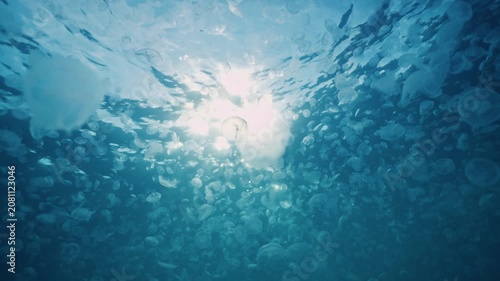 Small seahorse moves through clear underwater scene near glowing surface light, surrounded by deep blue water, soft reflections, blurred background, and delicate bubble shapes in serene marine setting